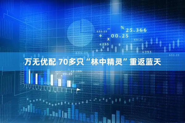 万无优配 70多只“林中精灵”重返蓝天