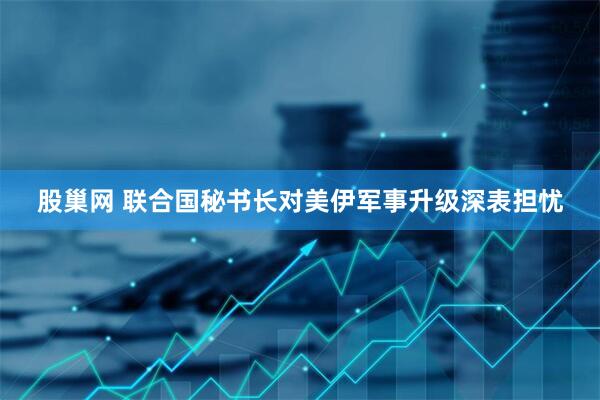 股巢网 联合国秘书长对美伊军事升级深表担忧